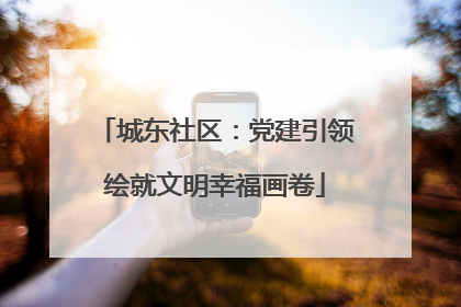 城东社区：党建引领绘就文明幸福画卷